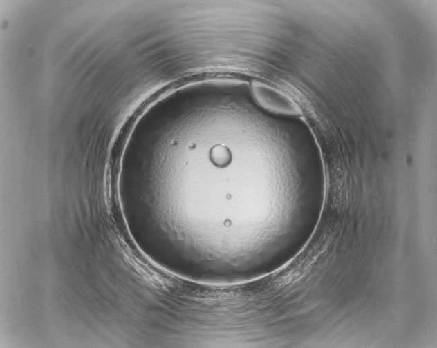 X0000060751076200511141153