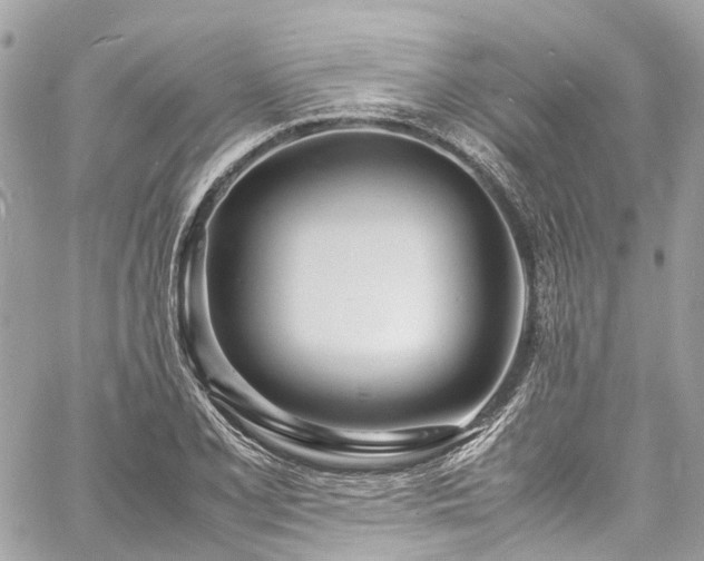 X0000060751077200511141153