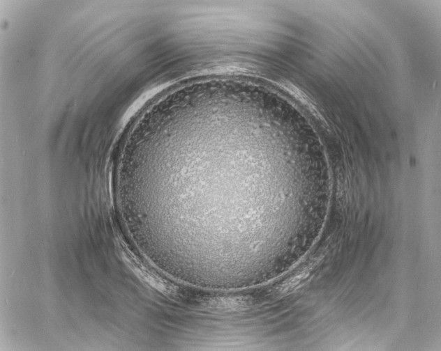 X0000060751078200511141153