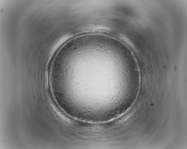 X0000060751079200511141153