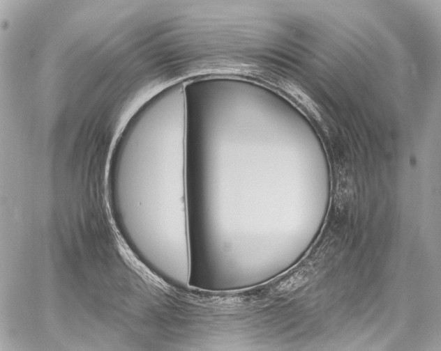 X0000060751080200511141153