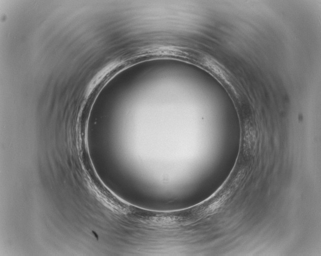 X0000060751082200511141152