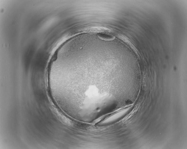 X0000060751083200511141152