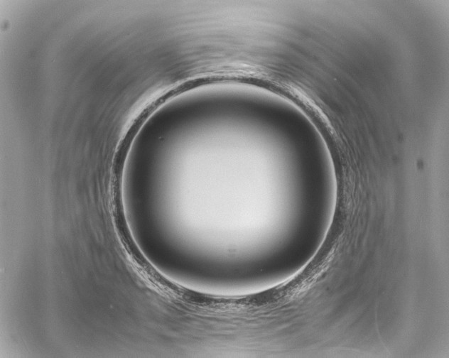 X0000060751085200511141152