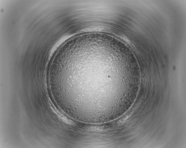 X0000060751086200511141152