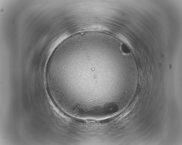 X0000060751087200511141152