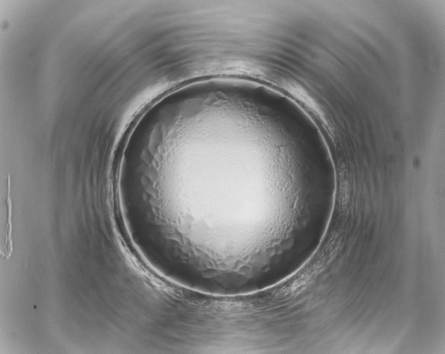 X0000060751088200511141152