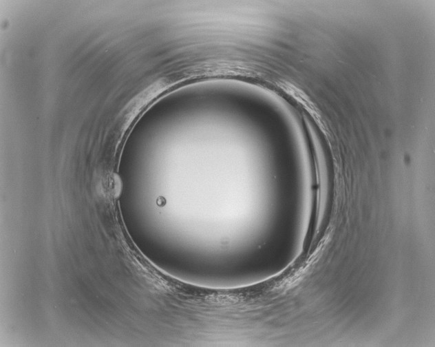 X0000060751089200511141152