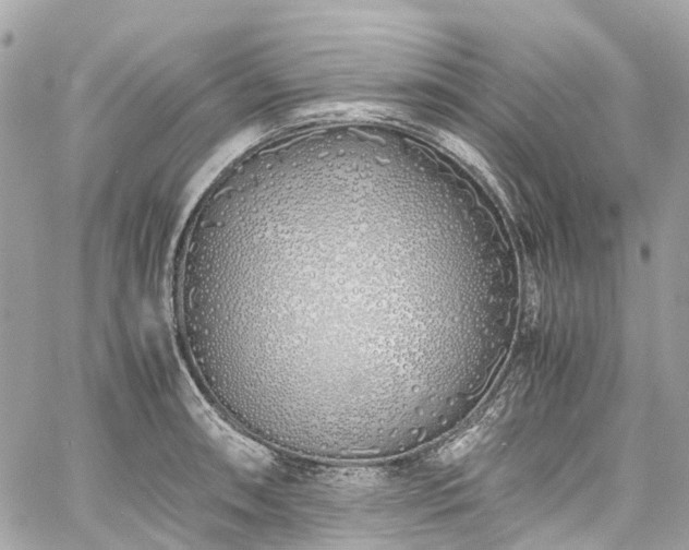 X0000060751090200511141152