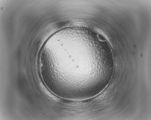 X0000060751091200511141152