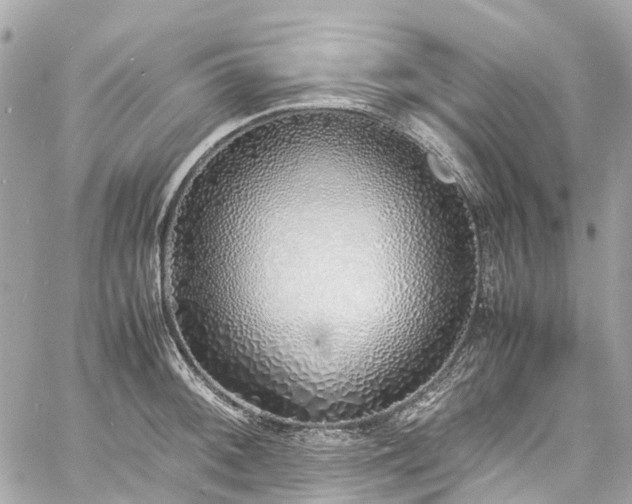 X0000060751092200511141152