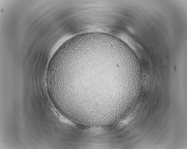 X0000060751094200511141152