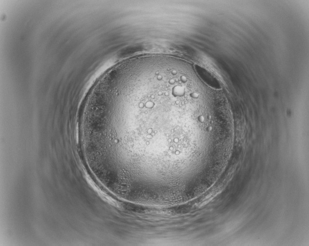 X0000060751095200511141152