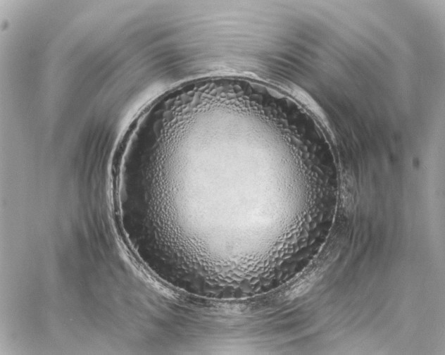 X0000060751096200511141152