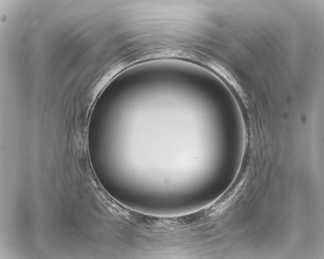 X0000060751097200511141152