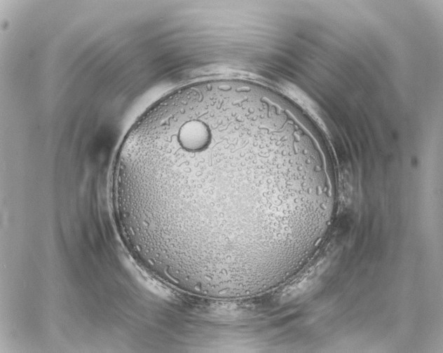 X0000060751098200511141152