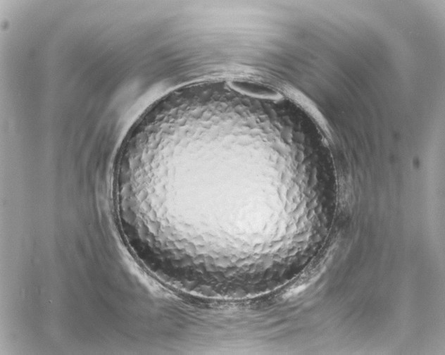 X0000060751099200511141152