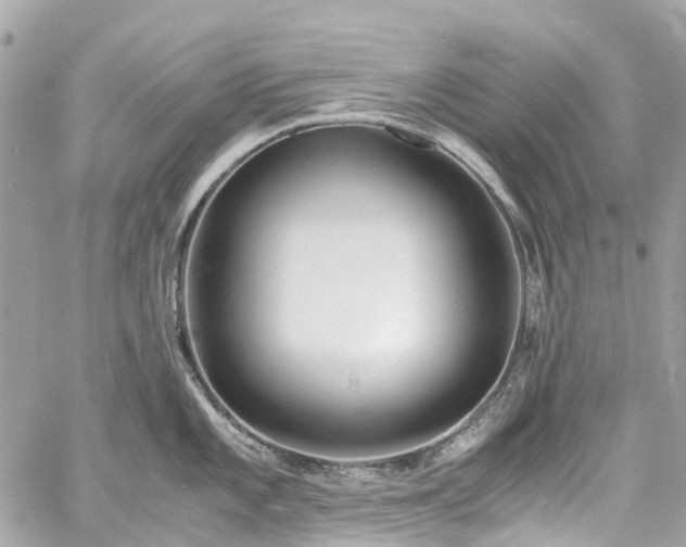 X0000060751101200511141152