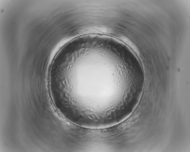 X0000060751104200511141152