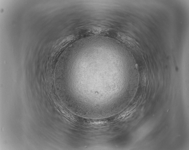 X0000060751105200511141151