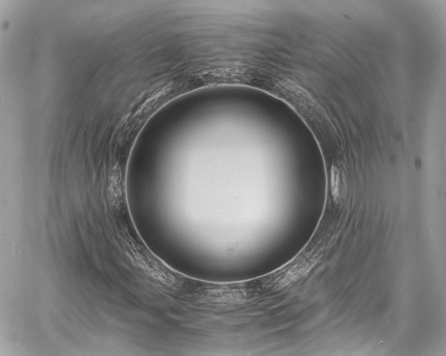 X0000060751107200511141151