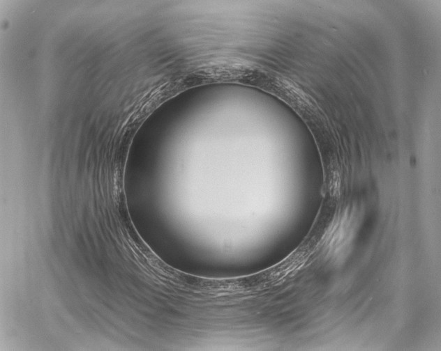 X0000060751108200511141151