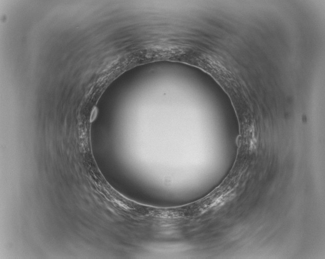 X0000060751109200511141151