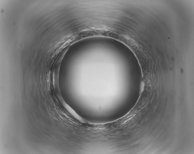 X0000060751110200511141151