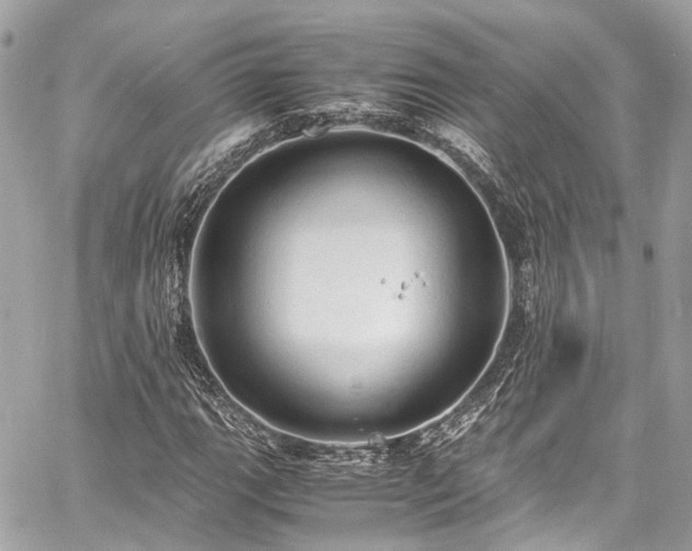 X0000060751111200511141151