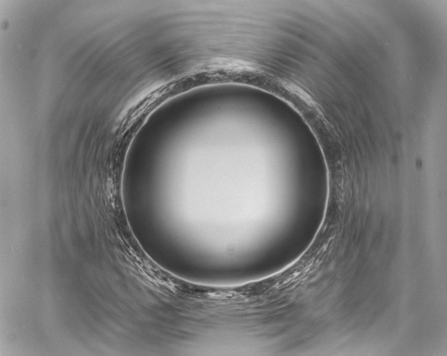 X0000060751112200511141151