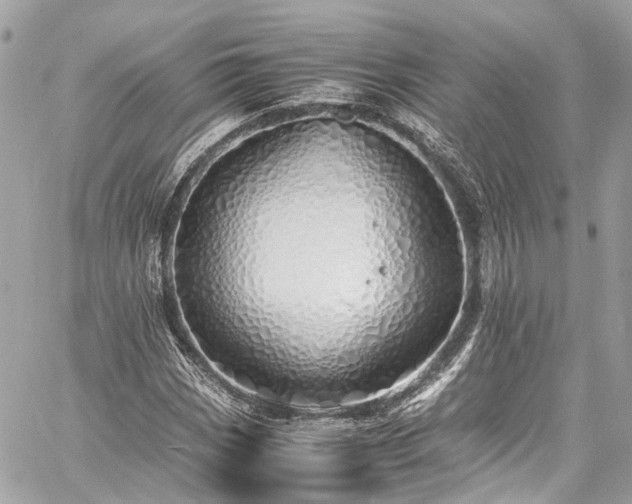 X0000060751113200511141151