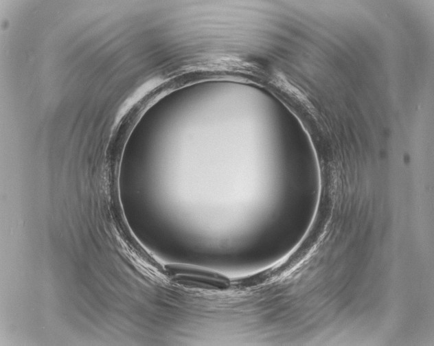 X0000060751114200511141151