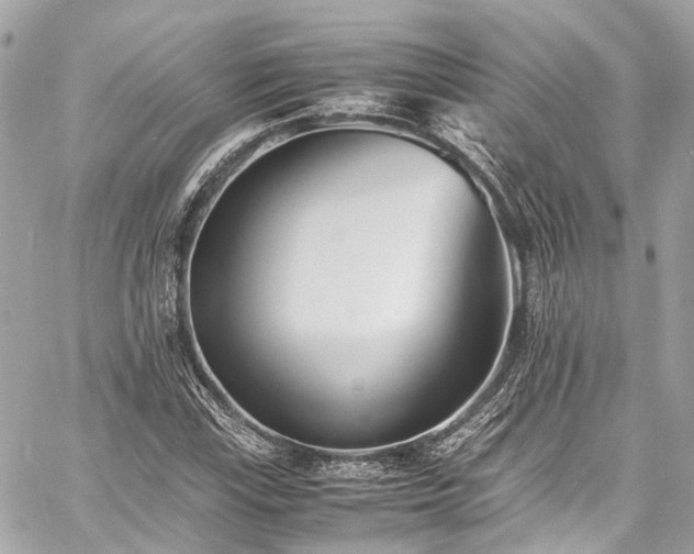 X0000060751115200511141151