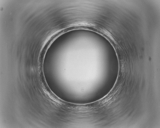 X0000060751116200511141152