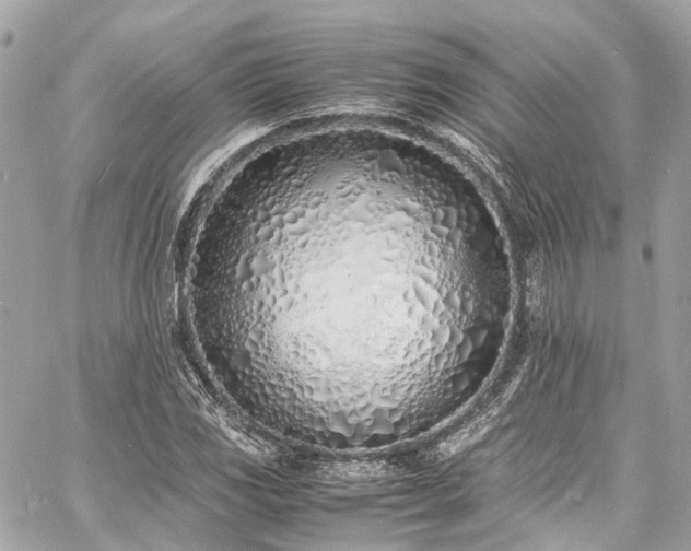 X0000060751117200511141152