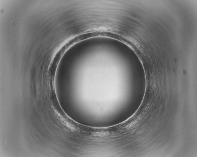 X0000060751118200511141152