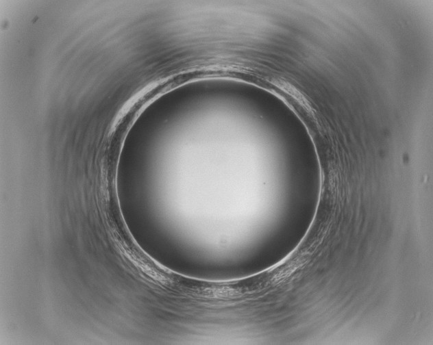 X0000060751120200511141152