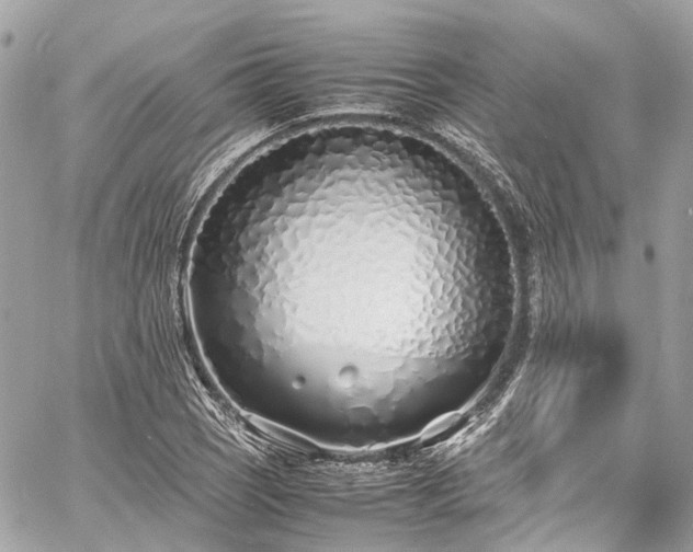 X0000060751121200511141152