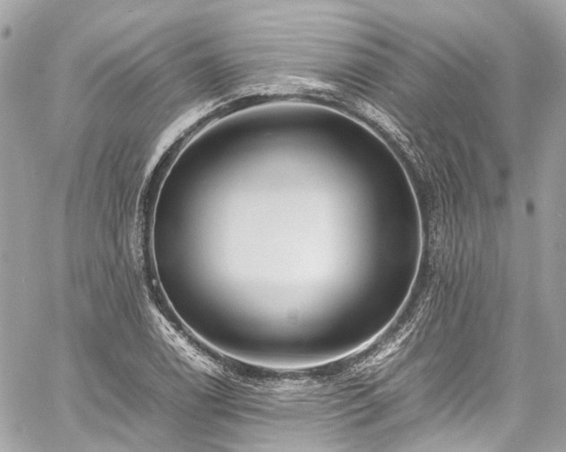 X0000060751122200511141152