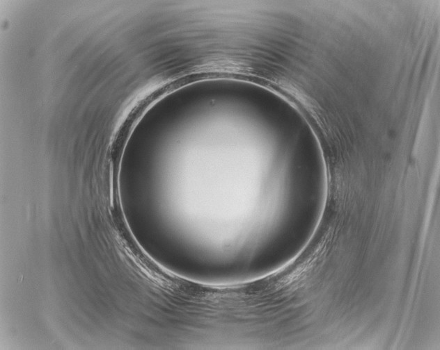 X0000060751123200511141152