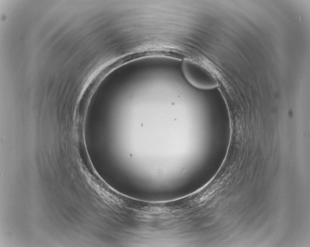 X0000060751124200511141152