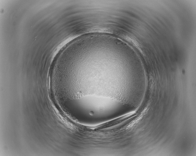 X0000060751125200511141152