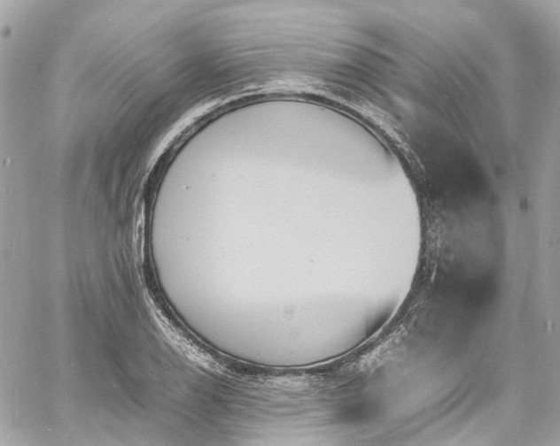 X0000060751126200511141152