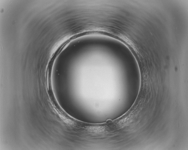 X0000060751127200511141152