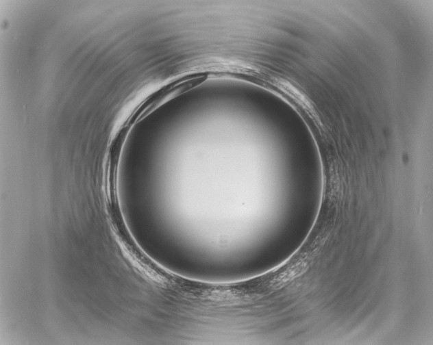 X0000060751128200511141152