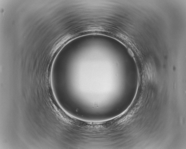 X0000060751129200511141152