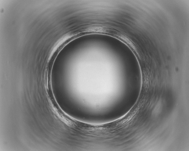 X0000060751131200511141152