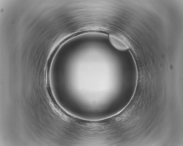 X0000060751132200511141152