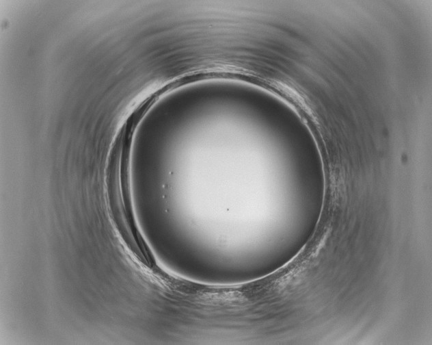 X0000060751133200511141152