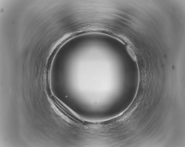 X0000060751134200511141152